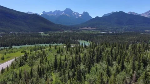 Forests of the Alberta Rockies Stock Footage 201352107