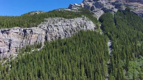 Forests of the Alberta Rockies Stock Footage 201352366