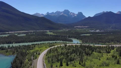Forests of the Alberta Rockies Stock Footage 201352367
