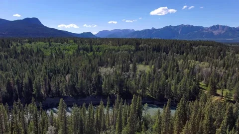 Forests of the Alberta Rockies Stock Footage 201352482
