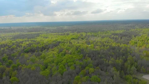 Forests and fields of Belarus aerial photography Stock Footage 107631674