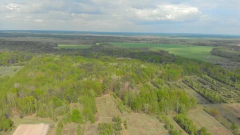 Forests and fields of Belarus aerial photography Stock-Footage 107633271