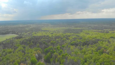Forests and fields of Belarus aerial photography Vídeos de archivo 107633610