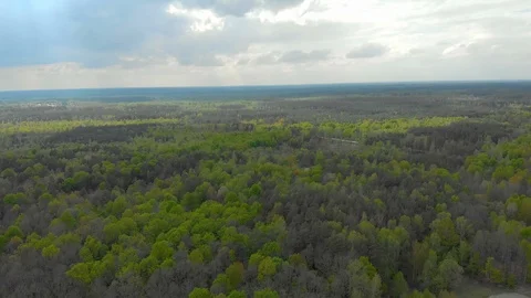 Forests and fields of Belarus aerial photography 스톡 동영상 107634473