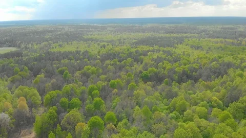 Forests and fields of Belarus aerial photography 스톡 동영상 107634859