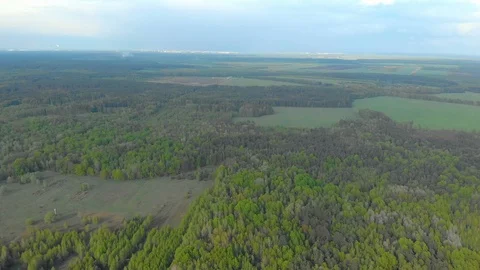 Forests and fields of Belarus aerial photography 스톡 동영상 107639046
