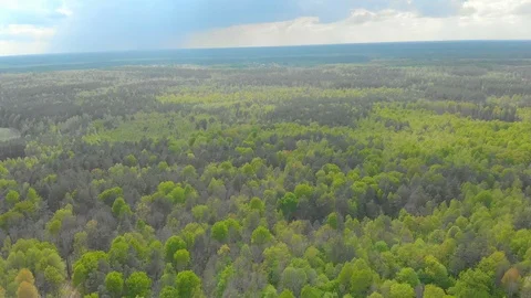 Forests and fields of Belarus aerial photography 库存影片 107639830