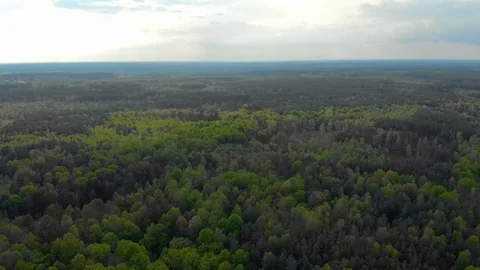 Forests and fields of Belarus aerial photography Video stock 107640906