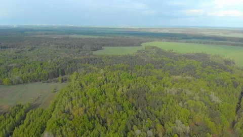 Forests and fields of Belarus aerial photography 库存影片 107641178