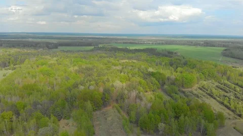 Forests and fields of Belarus aerial photography Видео 107641349