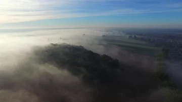 Forests and fields sunk in the morning mist, aerial view Stock Footage 85617155
