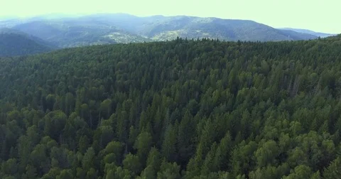 Forests and mountains 4K Stock-Footage 85302694