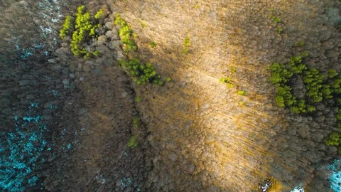 Forests and mountains Stock Footage 300777210