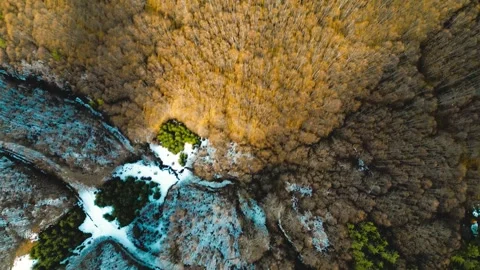 Forests and mountains Stock Footage 300777247