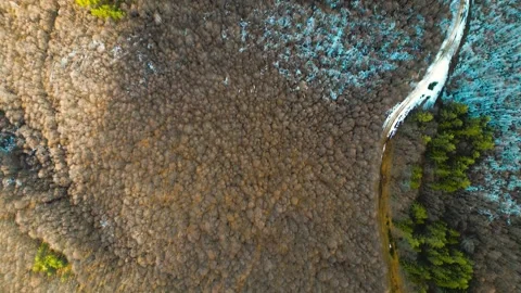 Forests and mountains Stock Footage 300777249