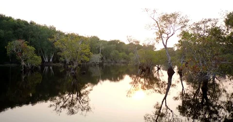 Forests and rivers with falling sun Stock Footage 89786857