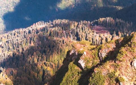 Forests and shadows in mountains Stock Photos