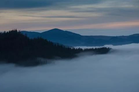 Forests and valleys in the clouds during sunrise in the mountains, Carpathi.. Foto stock