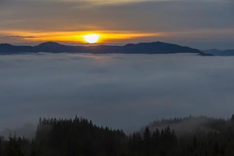 Forests and valleys in the clouds during sunrise in the mountains, Carpathi.. Stock Photos