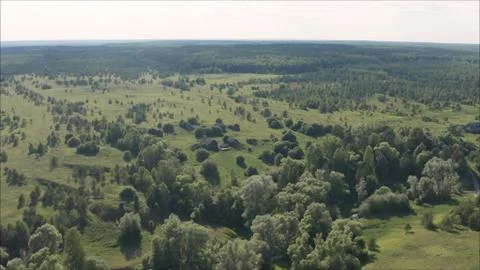 The forests are overgrown. Abandoned field in Rowska village. Stock Photos