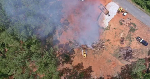 Forests are uprooted during the process of developing land for construction, and Video stock 202786750