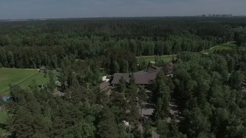 Forest's Canopy Hides a Large Brown Building Near the Edge of the City 스톡 동영상 321061866