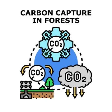 Forests capturing carbon dioxide for environmental protection Stock Illustration