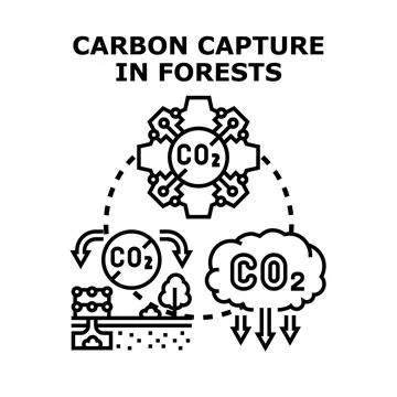 Forests capturing carbon dioxide for environmental protection Stock Illustration