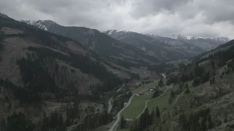 Forests destroyed by bark beetle Stock Footage 295840667