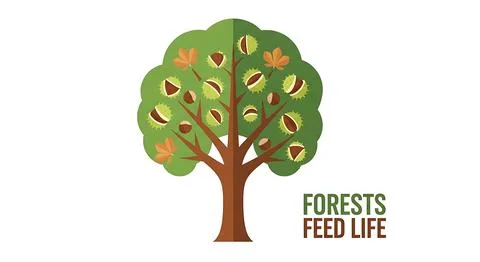 Forests feed life, a robust green tree adorned with numerous chestnuts and .. Stock Illustration