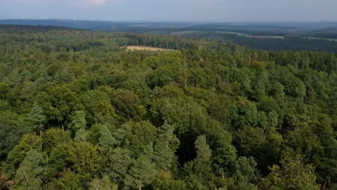 Forests, fields and wind turbines, top view Stock Footage 171482742