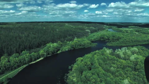 Forests, fields, river view from a helicopter. Desna river Video stock 154656795