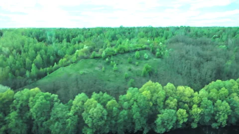Forests, fields, river view from a helicopter. Desna river Stock Footage 154656947