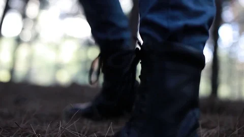 In the forests Stock Footage 75402891