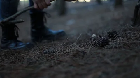 In the forests Stock Footage 75402897