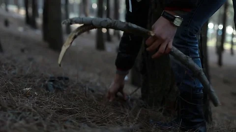 In the forests Stock Footage 75406936