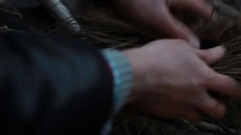 In the forests Stock Footage 75409902