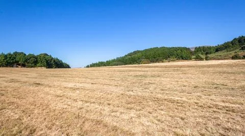 Forests Large Open Field Blue Sky Stock Photos