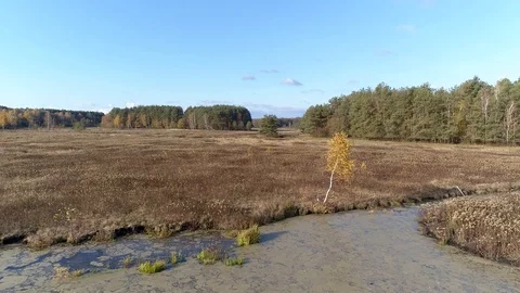 Forests, meadows and backwaters, aerial view 库存影片 123704516