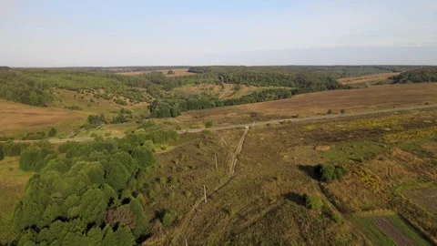 Forests, meadows, countryside in summer Stock Footage 254065871