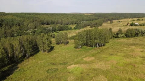 Forests, meadows, countryside in summer Stock Footage 254066079