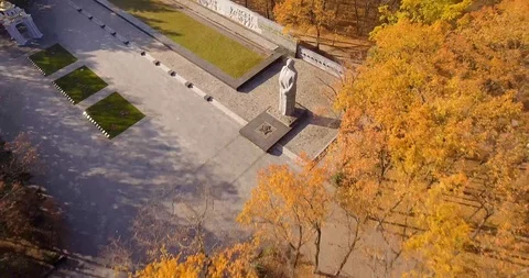 Forest's Memorial Video stock 97888940