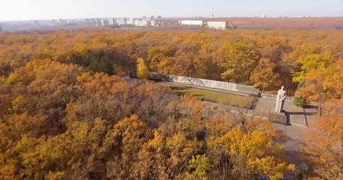 Forest's Memorial Video stock 97889030