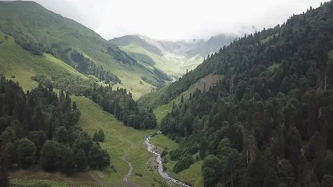 Forests on the mountains, against the background of mountains in the fog. Stock Footage 148656755