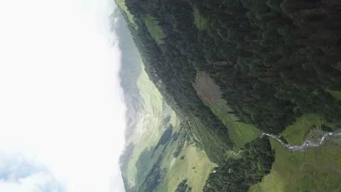 Forests on the mountains.(Vertical video). Stock Footage 148656745