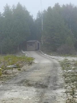 A Forests Path Stock Photos