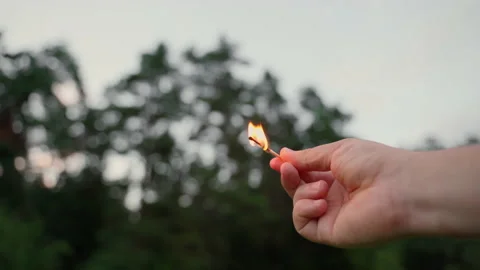 Forests protection. Problem of forests fires around the world Stock Footage 158493370