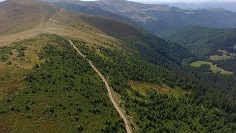 Forests on the ridge. aerial view Stock Footage 84949809