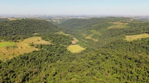 Forests in Rio Grande do Sul. Brazil. Drone footage. Stock Footage 331827311