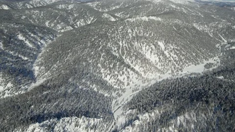 Forests spread in the mountains Vidéo 171578457